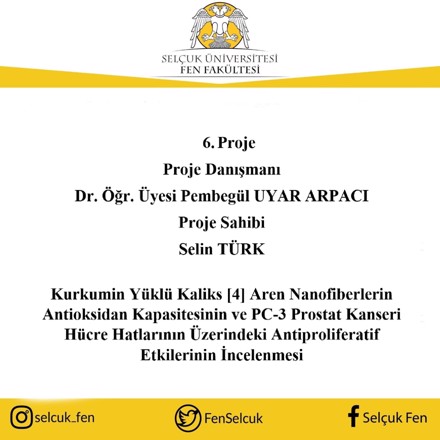 2209-A Üniversite Öğrencileri Araştırma Projeleri Destekleme Programı